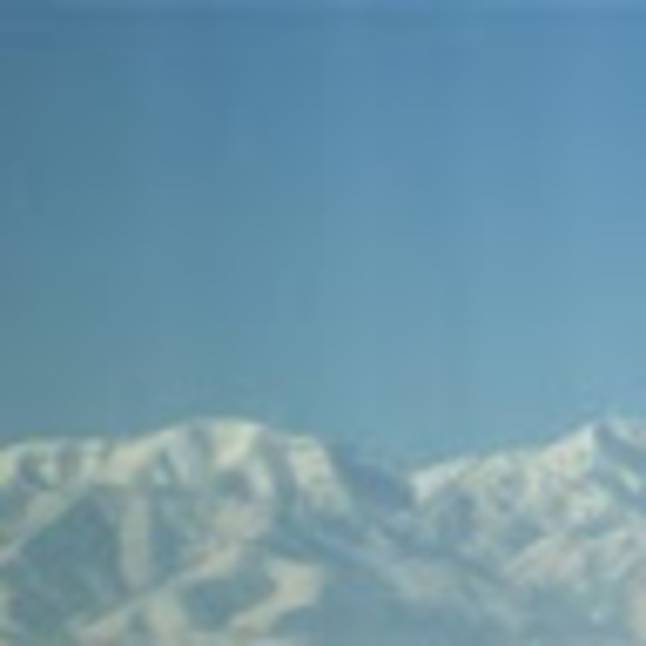 Meet your Posher, Melissa - Picture 1 of 1